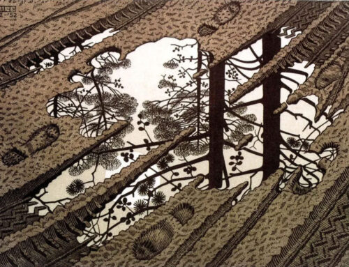 Otherworldly Reflection: MC Escher’s Puddle