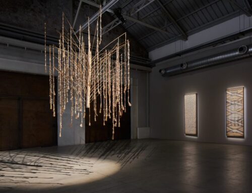 Thao Nguyen Phan “Reincarnations of Shadows” at Pirelli HangarBicocca, Milan